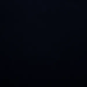 Cotton Poplin - Midnight