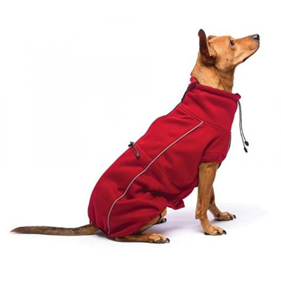 Dog Gone Smart Olympia Soft Shell Dog Coat