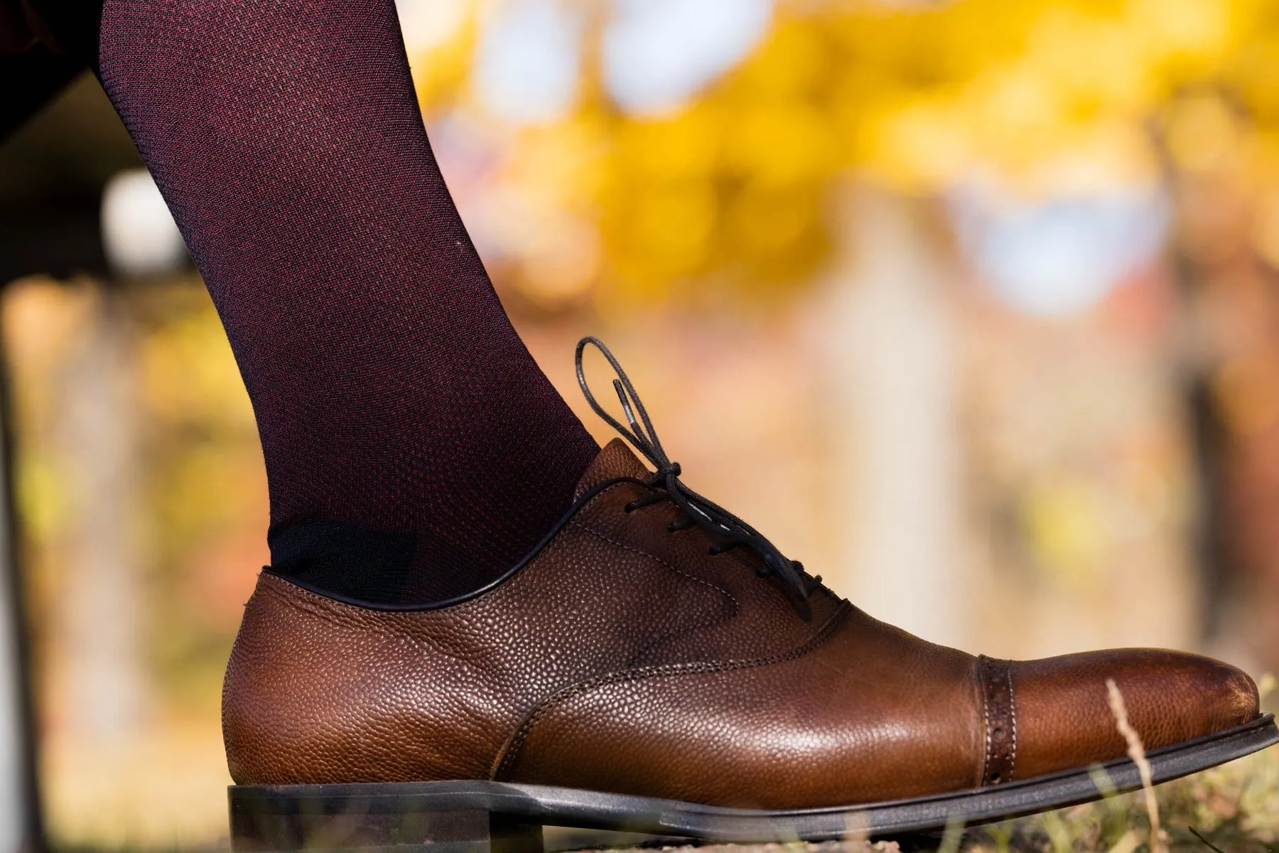 Midnight Blue & Burgundy Two-Tone Cotton Socks
