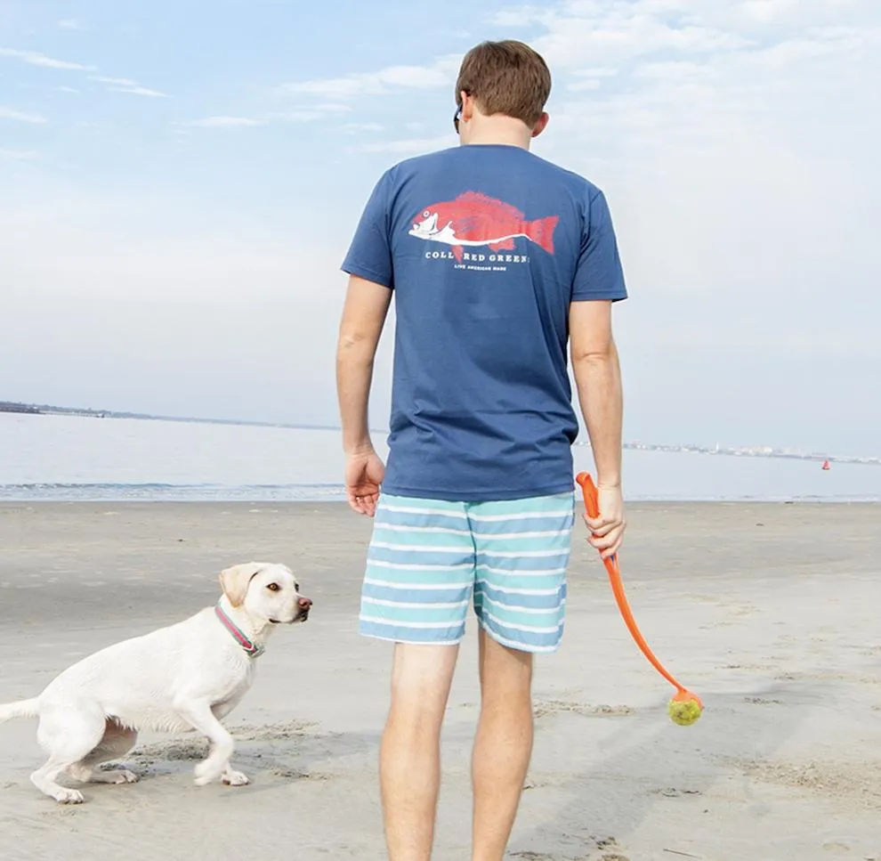 Southern Quail: Short Sleeve T-Shirt - White